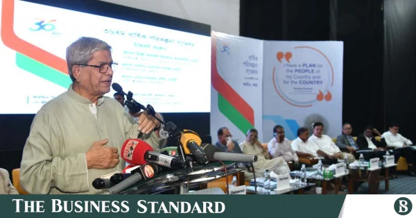 নতুন রাষ্ট্রপতি নির্বাচনের বিষয়ে সিদ্ধান্ত নেবে বিএনপি: মির্জা ফখরুল
