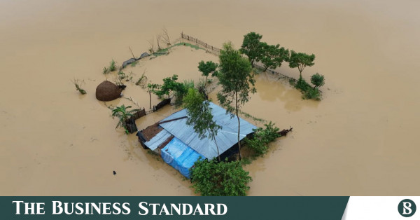 বন্যায় ১৪০.৮২ কোটি টাকার সবজি নষ্ট, চট্টগ্রামে দাম বেড়েছে ২০-৫০ টাকা