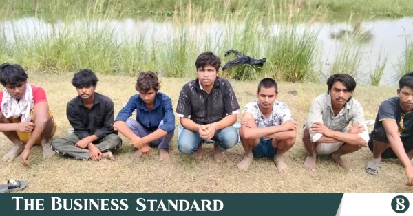 চাঁপাইনবাবগঞ্জ সীমান্তে বিএসএফের অনুপ্রবেশের চেষ্টা ব্যর্থ