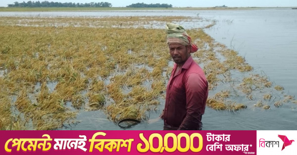 বন্যাদুর্গত কৃষকদের তালিকা তৈরি করছে সরকার: কৃষিমন্ত্রী