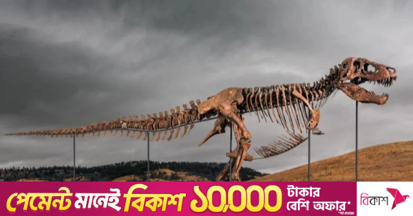 রেকর্ড ৫০.১ মিলিয়ন ডলারে বিক্রি হলো ৬ কোটি ৭০ লাখ বছরের পুরনো টি-রেক্সের জীবাশ্ম