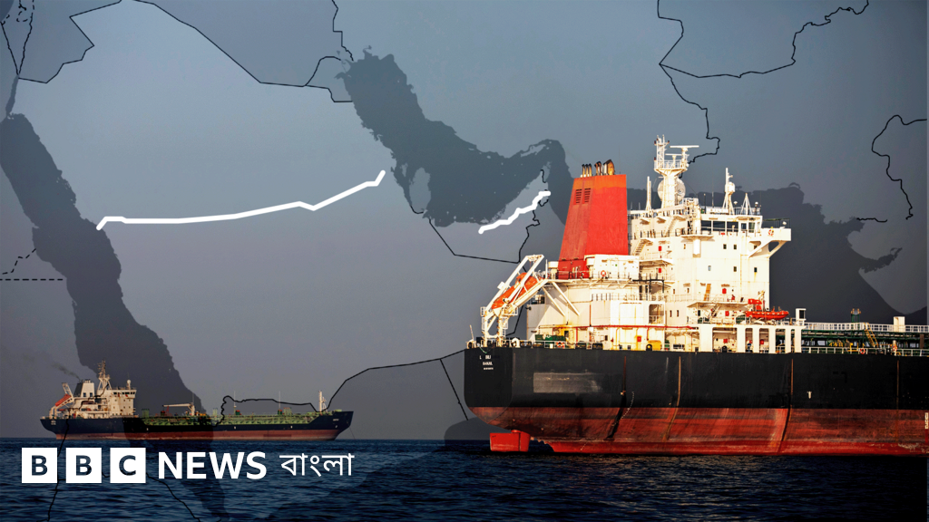 হরমুজ প্রণালি: বিকল্প পথে তেল ও গ্যাস সরবরাহ কি সম্ভব?