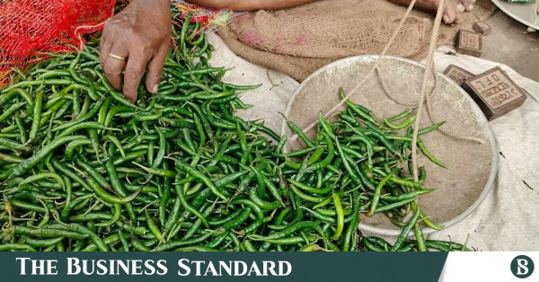 ভোমরা স্থলবন্দর দিয়ে ভারত থেকে ৪৬৭ টন কাঁচা মরিচ আমদানি