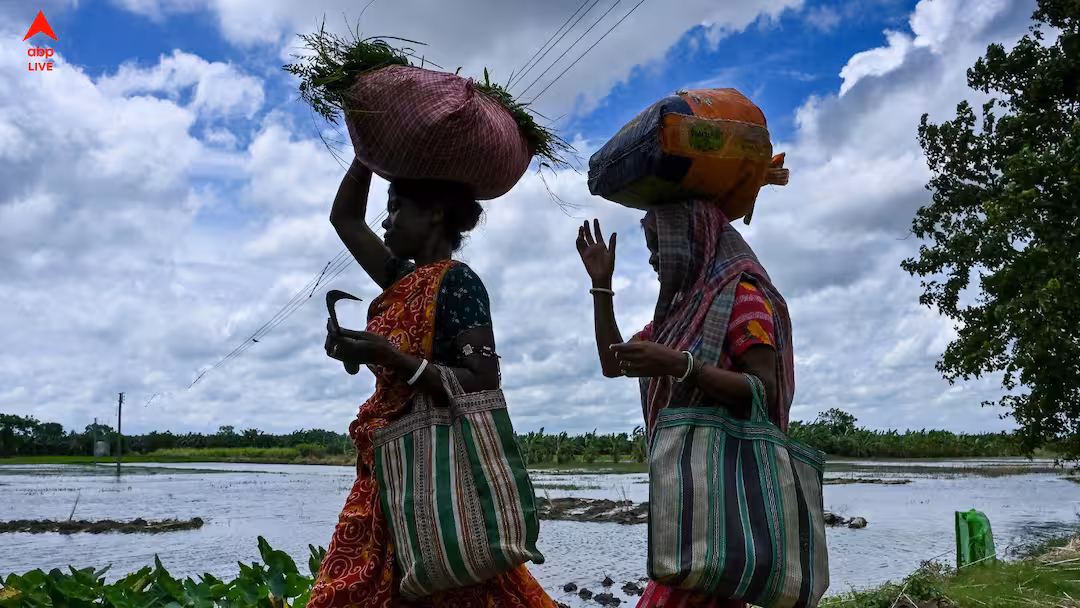 দক্ষিণবঙ্গের ৮ জেলায় ঝোড়ো হাওয়াসহ বৃষ্টির পূর্বাভাস