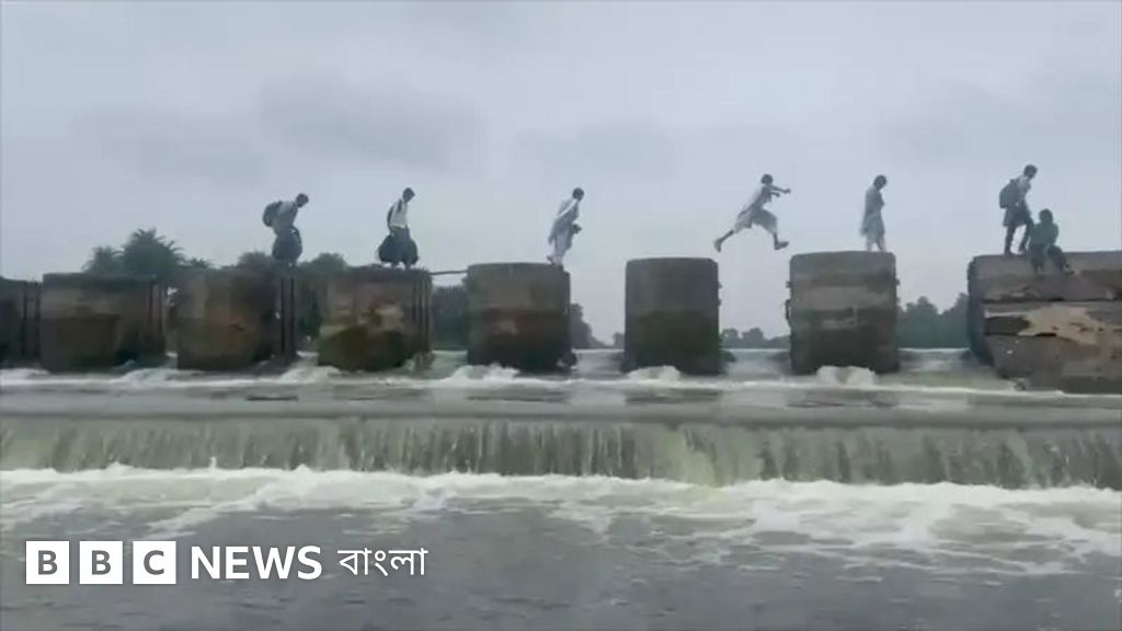 মধ্যপ্রদেশে জীবনের ঝুঁকি নিয়ে বাঁধ পার হয়ে স্কুলে শিক্ষার্থীরা