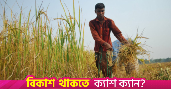 ১৩ হাজার কোটি টাকার কৃষি পুনঃঅর্থায়ন স্কিমে সুদের হার ৭ শতাংশ নির্ধারণ