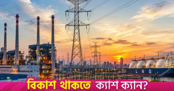 জ্বালানি খাতের সক্ষমতা চার্জ কমাতে পাঁচ বছর মেয়াদী রোডম্যাপ