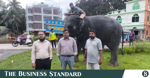 নির্যাতনের অভিযোগের পর সাফারি পার্কে ফিরল নিহার-কলি ও সম্রাট বাহাদুর