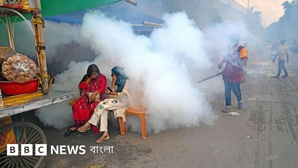 ডেঙ্গুর ভয়াবহ প্রকোপ: ২০২৩ সালের পরিসংখ্যান