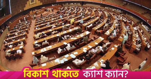 বিরোধী দলের ওয়াকআউটের মধ্যেই পাকিস্তানে প্রতিরক্ষা ও পারমাণবিক কমান্ড বিল পাস
