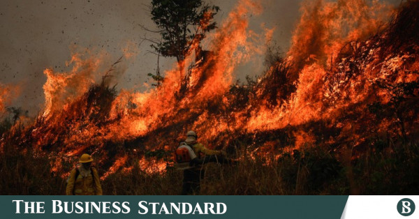 ব্রাজিলের প্রাকৃতিক এলাকা সংকুচিত হওয়ায় এল নিনোর প্রভাব বাড়ছে