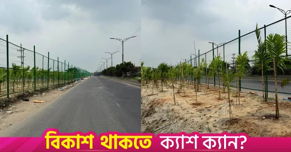 সাভারে ময়লার ভাগাড় থেকে সবুজায়ন: সড়কবাতি জ্বলবে বায়ুবিদ্যুতে