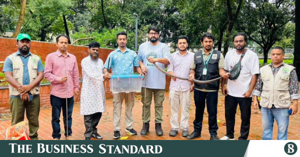গুলিস্তানে ছয়টি বিষধর গোখরা সাপ উদ্ধার, আটক এক