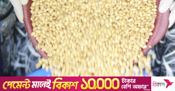 যুক্তরাষ্ট্রের সয়াবিনের নতুন বাজার হিসেবে উঠে আসছে বাংলাদেশ