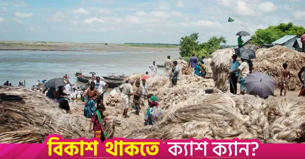 রাজশাহীতে পাট বিক্রি থেকে ৫৪৯ কোটি টাকা আয়ের সম্ভাবনা