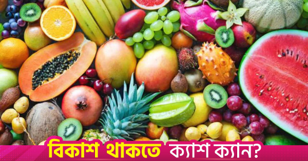 কুনমিংয়ে মেকং-লানচাং ফ্রুটস ফেস্টিভ্যালের আয়োজন, চীনের বাজারে নজর বাংলাদেশের