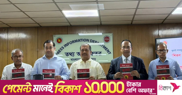 গণতন্ত্র রক্ষায় প্রাতিষ্ঠানিক কাঠামো তৈরির উদ্যোগ নিয়েছে সরকার: স্বপন