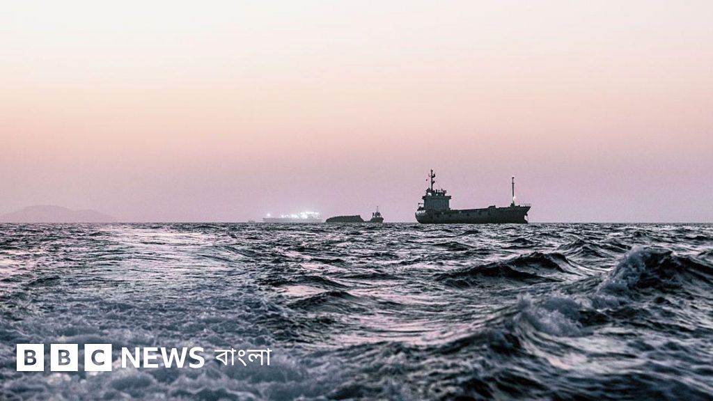 হরমুজ প্রণালিতে আটকে থাকা জাহাজ নিয়ে পরিবেশগত সতর্কবার্তা