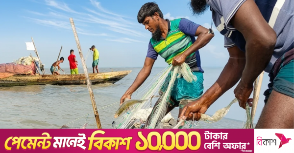 ভোলার নদীতে ইলিশের দেখা, আশার আলো দেখছেন জেলেরা