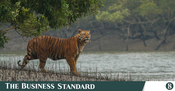 ৩১টি বন্যপ্রাণী বিলুপ্ত, নতুন রেড লিস্ট তৈরির উদ্যোগ সরকারের