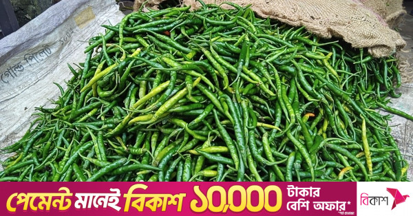 ২-৫ দিনের মধ্যে কাঁচা মরিচের দাম সহনীয় পর্যায়ে আসবে: কৃষিমন্ত্রী