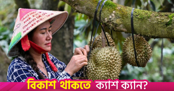 চীনের বাজারে ভিয়েতনামের ডুরিয়ান রপ্তানি বাড়ছে