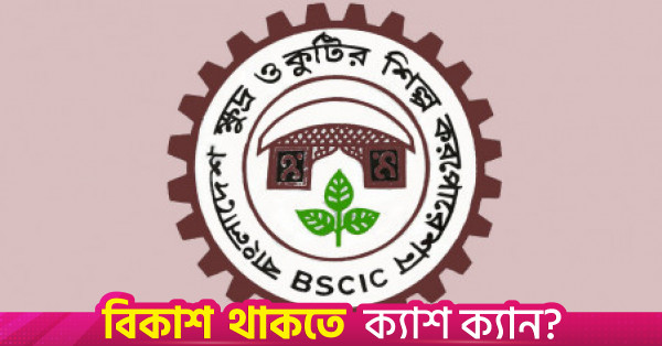 কুতুবদিয়ায় ১১৩ একর লবণ চাষের জমি আধুনিকায়নের উদ্যোগ বিসিকের