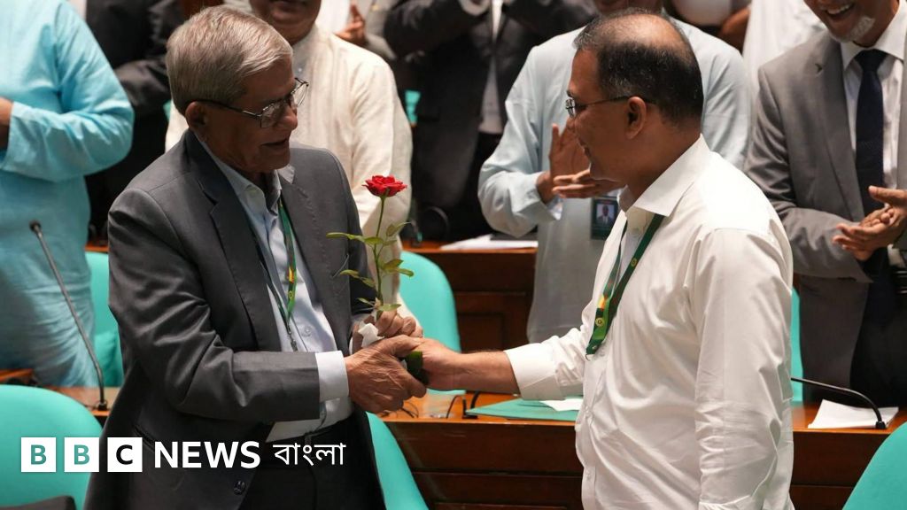 রাষ্ট্রপতি নির্বাচনের ভোটের চিত্র: মির্জা ফখরুল ও অলি আহমদের প্রাপ্ত ভোট