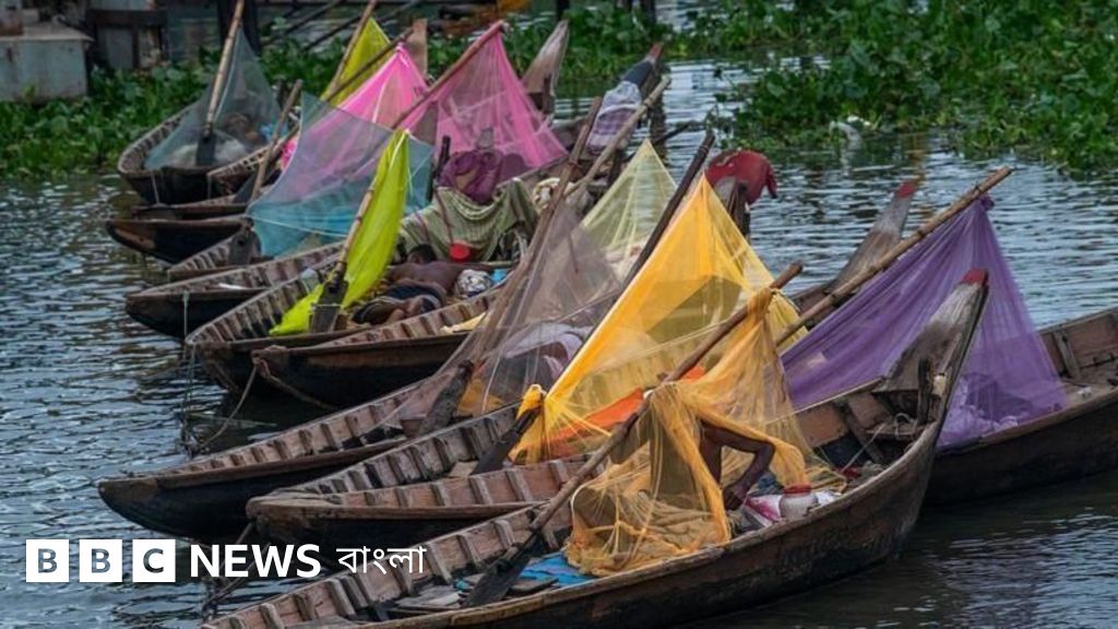সেপ্টেম্বর ও অক্টোবরে ডেঙ্গুর প্রকোপ বাড়ার পূর্বাভাস