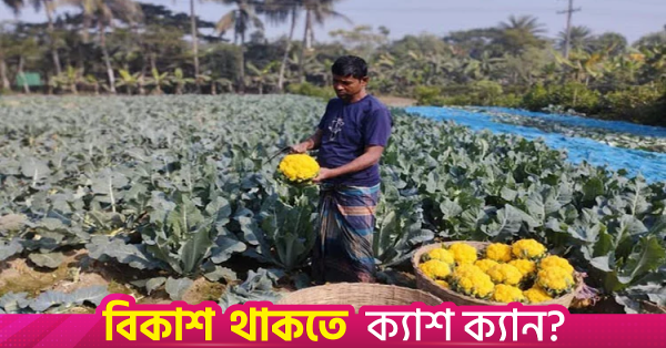বরেন্দ্র অঞ্চলের কৃষকদের মাঝে আগাম সবজি চাষে নতুন আশার সঞ্চার