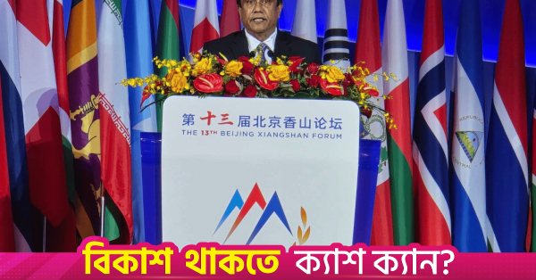 বৈশ্বিক নিরাপত্তা কাঠামো নির্ধারণে উন্নয়নশীল দেশগুলোর অধিকার ও দায়িত্ব রয়েছে: প্রধানমন্ত্রীর প্রতিরক্ষা উপদেষ্টা