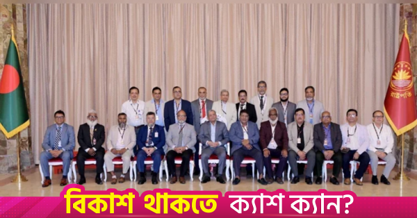 স্বাস্থ্য খাতের সংস্কারে ড্যাব নেতাদের এগিয়ে আসার আহ্বান রাষ্ট্রপতির