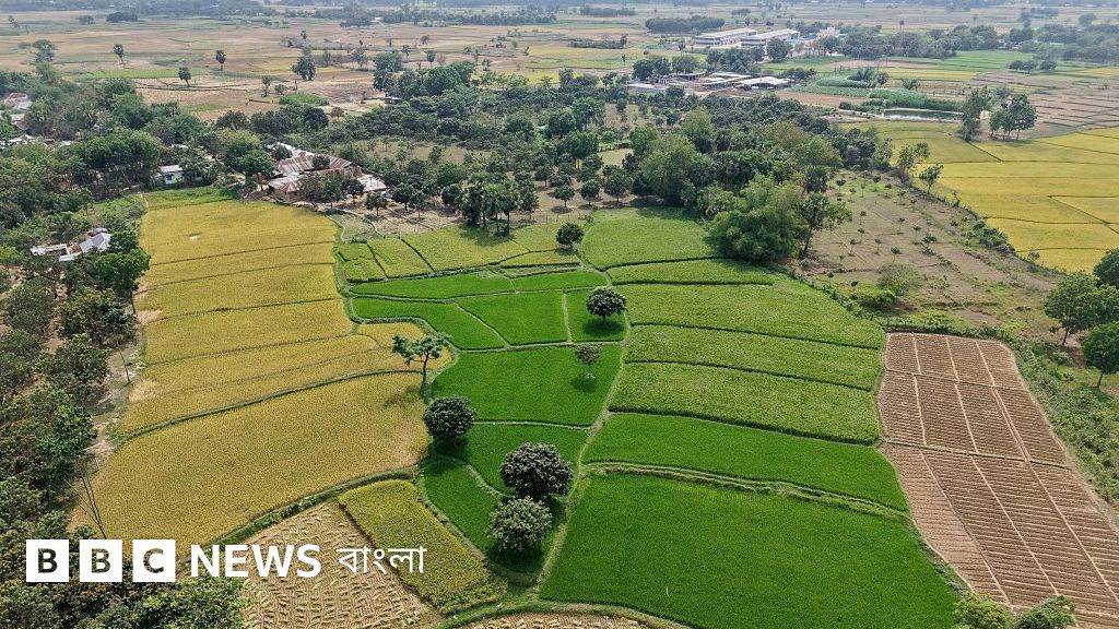 জমির নামজারিতে নতুন নিয়ম ও পরিবর্তন