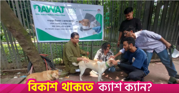 ঢাকায় পথকুকুরদের টিকাদান ও কলার পরানোর উদ্যোগ নিয়েছে গুলশান সোসাইটি ও দাওয়াত