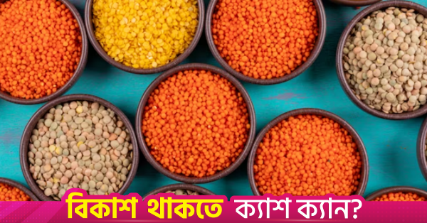 ১০ হাজার টন মসুর ডাল ও ১ লাখ ৫৫ হাজার টন সার কিনবে সরকার