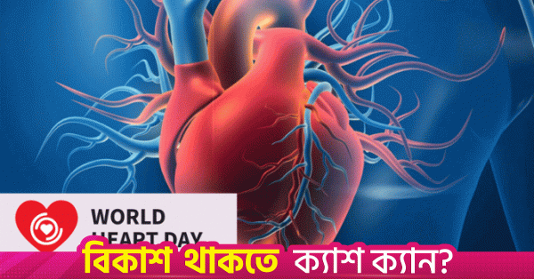 হৃদরোগের চিকিৎসায় অগ্রগতি হলেও সেবা এখনো ঢাকাকেন্দ্রিক
