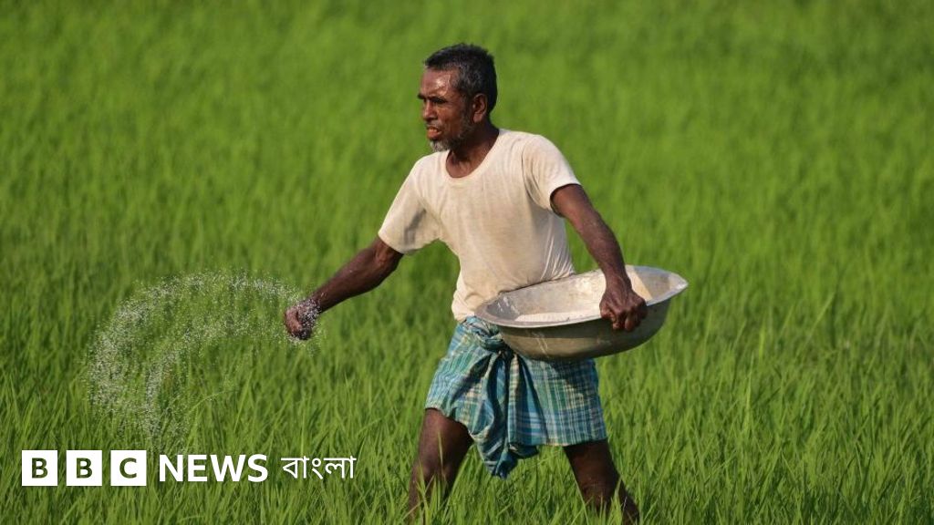 ন্যানো ফার্টিলাইজার: কৃষি ও পরিবেশের জন্য নতুন সম্ভাবনা
