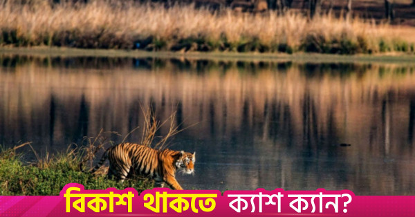 তিন মাসের নিষেধাজ্ঞা শেষে পর্যটকদের জন্য খুলল সুন্দরবন