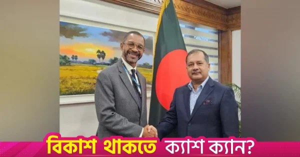 বাংলাদেশের উন্নয়নে জাতিসংঘের ভূমিকা প্রশংসনীয়: স্বপন
