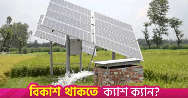 পাঁচ বছরের মধ্যে ডিজেলচালিত সেচ পাম্প সৌরবিদ্যুতে রূপান্তরের লক্ষ্য