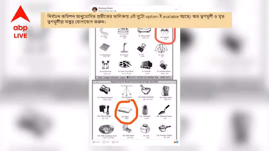 তৃণমূলের দুই শিবিরকে কটাক্ষ শতরূপ ঘোষের, পোস্ট করলেন চটি ও বালিশ প্রতীক নিয়ে