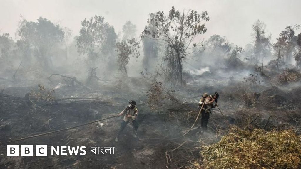 ইন্দোনেশিয়ার দাবানলের ধোঁয়ায় বিপর্যস্ত মালয়েশিয়া ও ফিলিপিন্স