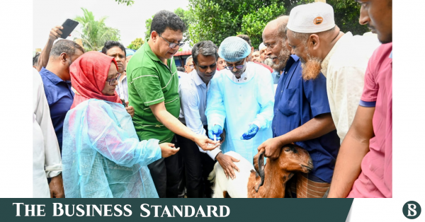 গবাদি পশুর এলএসডি রোগের টিকা দেশেই উৎপাদনের পরিকল্পনা