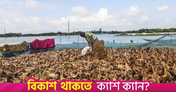 খুলনায় হাঁস পালন করে স্বাবলম্বী তরুণ উদ্যোক্তা
