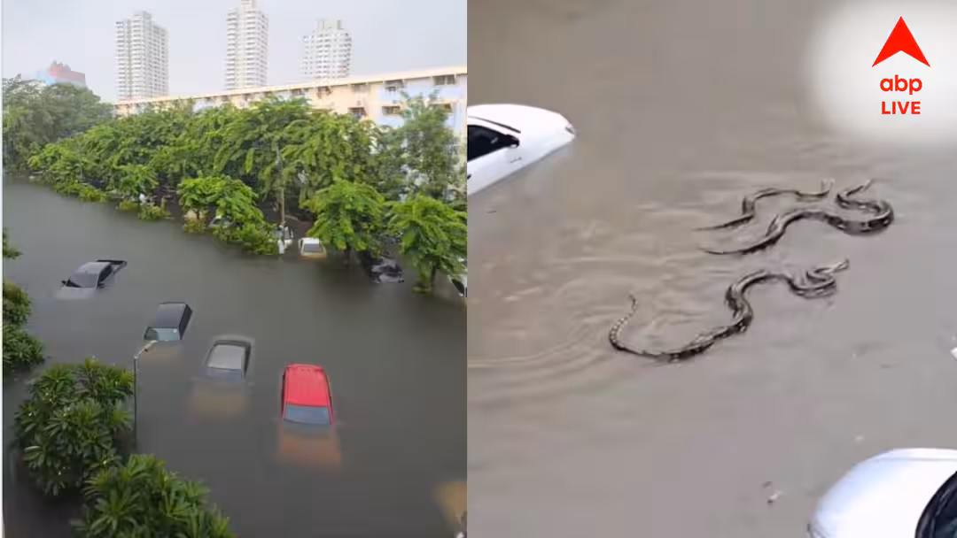 ভারী বর্ষণে বিপর্যস্ত ব্যাংকক, জলমগ্ন শহরজুড়ে আতঙ্ক