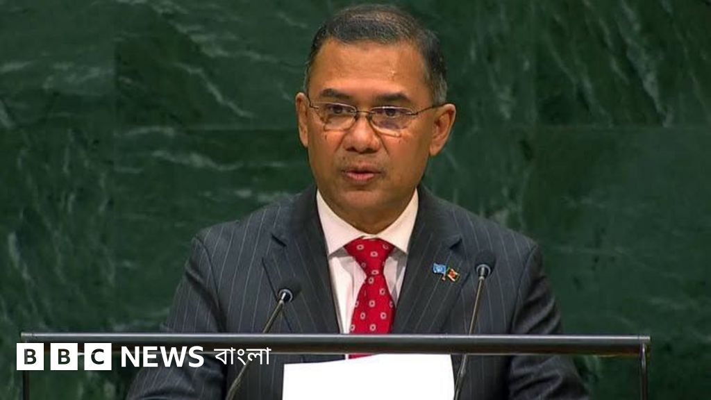 রোহিঙ্গা প্রত্যাবাসনে জোরালো আন্তর্জাতিক সমর্থন চাইলেন তারেক রহমান