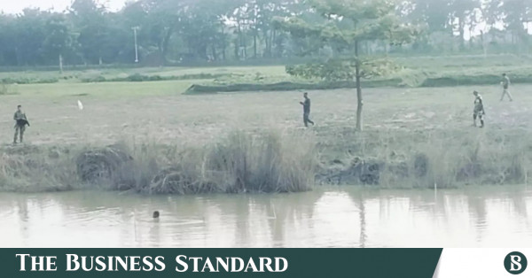 কুষ্টিয়ায় বিএসএফের পুশ-ইন প্রচেষ্টা ব্যর্থ