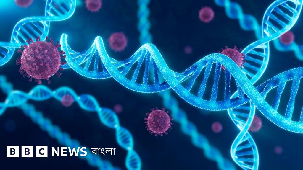 শিশুর ডিএনএ টেস্টের দাবি: বাংলাদেশে এই পরীক্ষার নিয়ম কী?