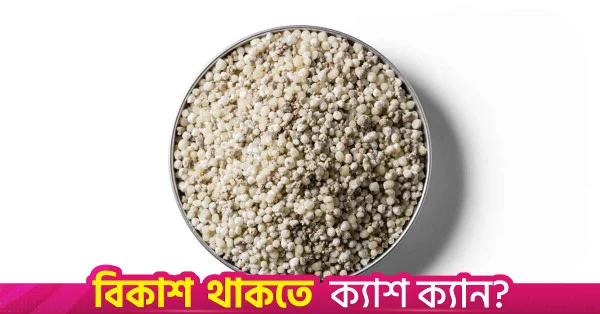 মরক্কো থেকে ৪০ হাজার টন ডিএপি সার আমদানির অনুমোদন