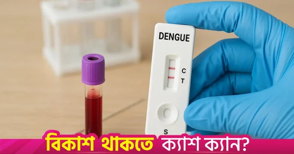 বাংলাদেশকে ৫ লাখ ডেঙ্গু টেস্ট কিট দিল যুক্তরাষ্ট্র